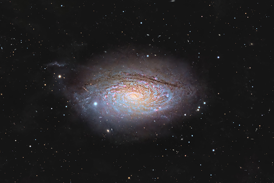 ��������������� ��������� ��������