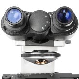 Окуляри бінокулярного мікроскопа, вид з боку очної лінзи