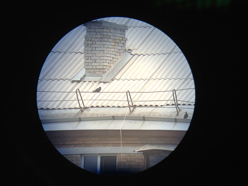     KONUS Konuspot-80:  20x