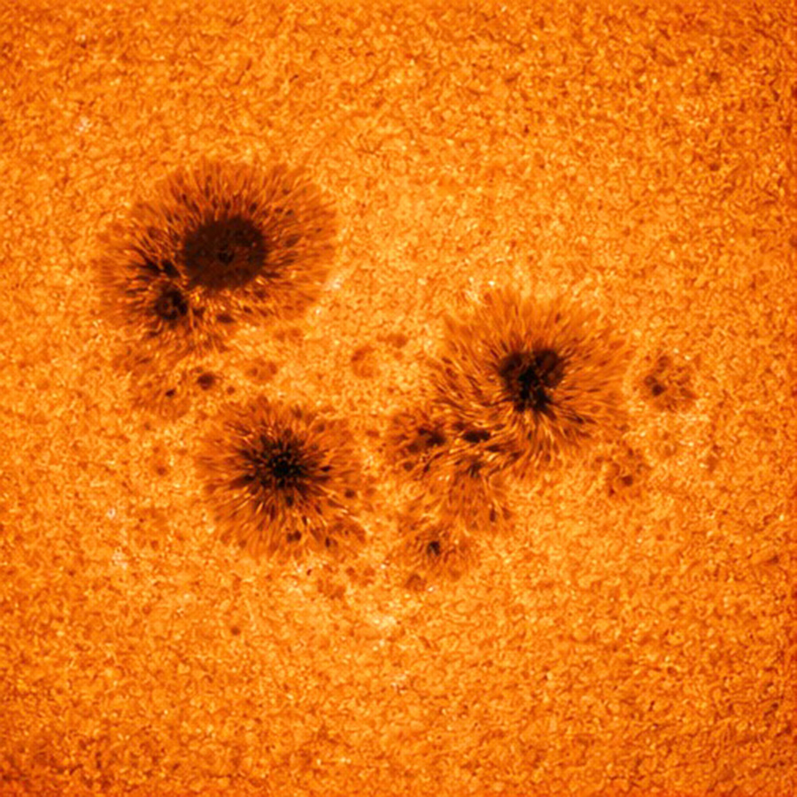 ����� �� �����