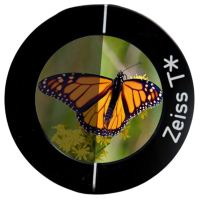 ZEISS Victory SF 10x32 �������