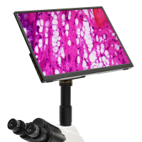 SIGETA Displayer HD 13.3" HDMI   