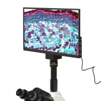 SIGETA MCAM4K Viewer HD 13.3" HDMI ³  