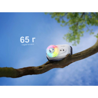 FENIX HL17R (500 Lm) ���� ˳����