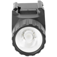 HOLOSUN P.ID HC ˳���� ������ � ���