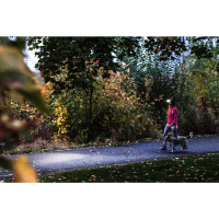 LEDLENSER HF4R CORE (500 Lm) ˳����