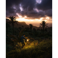 LEDLENSER ML6 Warm light (750 Lm) Powerbank ˳����