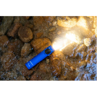OLIGHT  Arkfeld Blue ˳