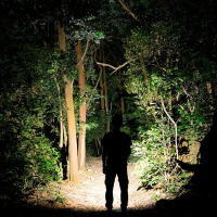 OLIGHT  Arkfeld Desert tan ˳