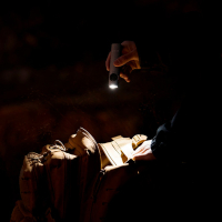 OLIGHT  Arkfeld Grey ˳