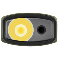 OLIGHT  Arkfeld OD Green ˳