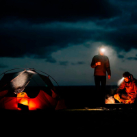 OLIGHT  Array 2 Black ˳����