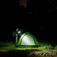OLIGHT  Baton 4 OD Green ˳