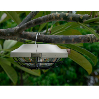 OLIGHT  Haloop Clay Beige ˳����