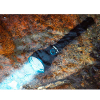 OLIGHT  Javelot Pro 2 ˳