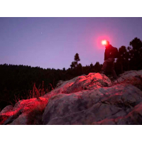 OLIGHT  Perun 2 Mini OD Green ˳