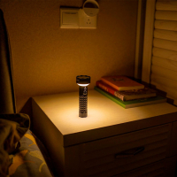 OLIGHT  Prowess Black ˳