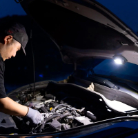 OLIGHT  Swivel Moss Green ˳