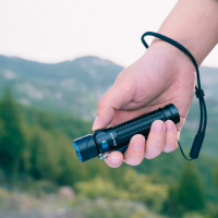 OLIGHT  Warrior Mini 2 Black ˳