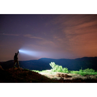 OLIGHT  Warrior Mini 3 Forest gradient ˳