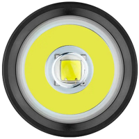 OLIGHT  Warrior X 4 Glacial valley ˳���� � �������