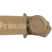 PRINCETON TEC Fred Tan ˳  