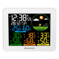 BRESSER Colour with 3 sensors ������������ � �������