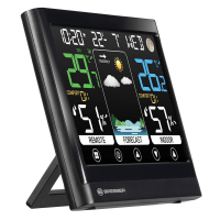 BRESSER MeteoTemp BF Colour ������������ ������ � ���