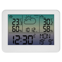 TFA METEO SKY ������������