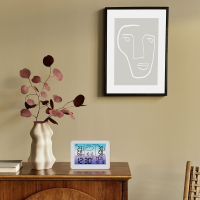 TFA METEO SKY ������������