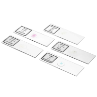 BRESSER Biolux DLX 20x-1280x ̳�������