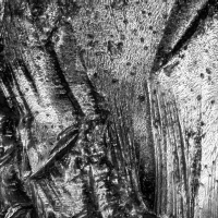 DELTA OPTICAL MET-1000-TRF 50�-1000�  ̳�������