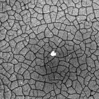 DELTA OPTICAL MET-1000-TRF 50�-1000�  ̳�������