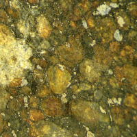 DELTA OPTICAL SZ-630B 8�-50� ̳�������