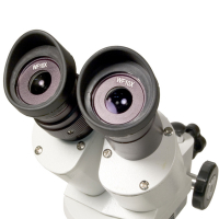 LEVENHUK 3ST 20x-40x бинокулярный (stereo) Микроскоп с гарантией