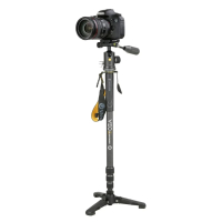 VANGUARD VEO 2S CM-264TBP 