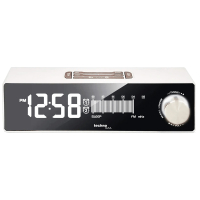TECHNOLINE WT483 White/Silver � ���� ��������� �������� ������ � ���