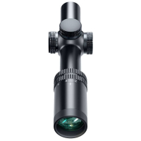 BUSHNELL R5 1-6x24 (SFP, DD2-QA, 30 )     