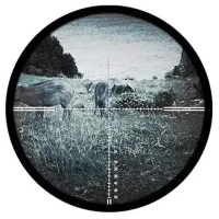 DISCOVERY OPTICS NV001  