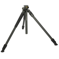 VANGUARD Alta Pro 2 + 263AP    