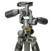 VANGUARD Alta Pro 2 + 263AP 