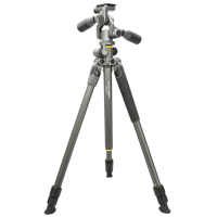 VANGUARD Alta Pro 2 + 263AP 