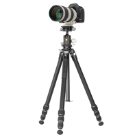 VANGUARD VEO 5 264AB-160 