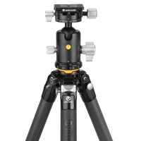 VANGUARD VEO 5 304CB-250S    