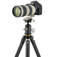 VANGUARD VEO 5 304CB-250S 
