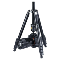 VANGUARD Vesta FB 235AB 