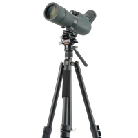 VANGUARD Vesta Go 234AV10 