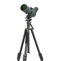 VANGUARD Vesta Go 264AV12 