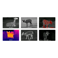 PARD Leopard 640-50 ���������