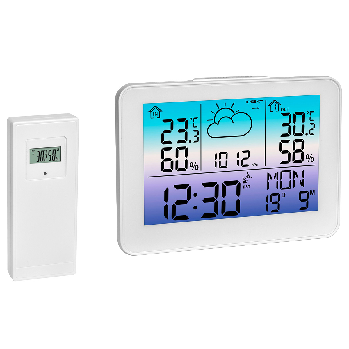 ������ ������������ TFA METEO SKY